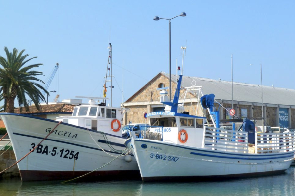 The Fishing Museum - boats