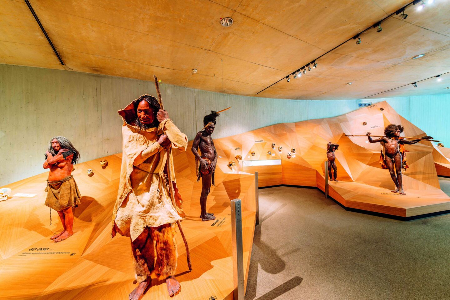 Neanderthal museum inside