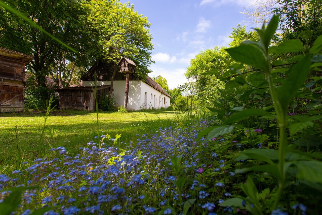 Museumsdorf Niedersulz garden view
