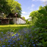 Museumsdorf Niedersulz garden view