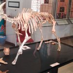 MUCBO inside