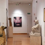 The Museu d'Art Modern inside view